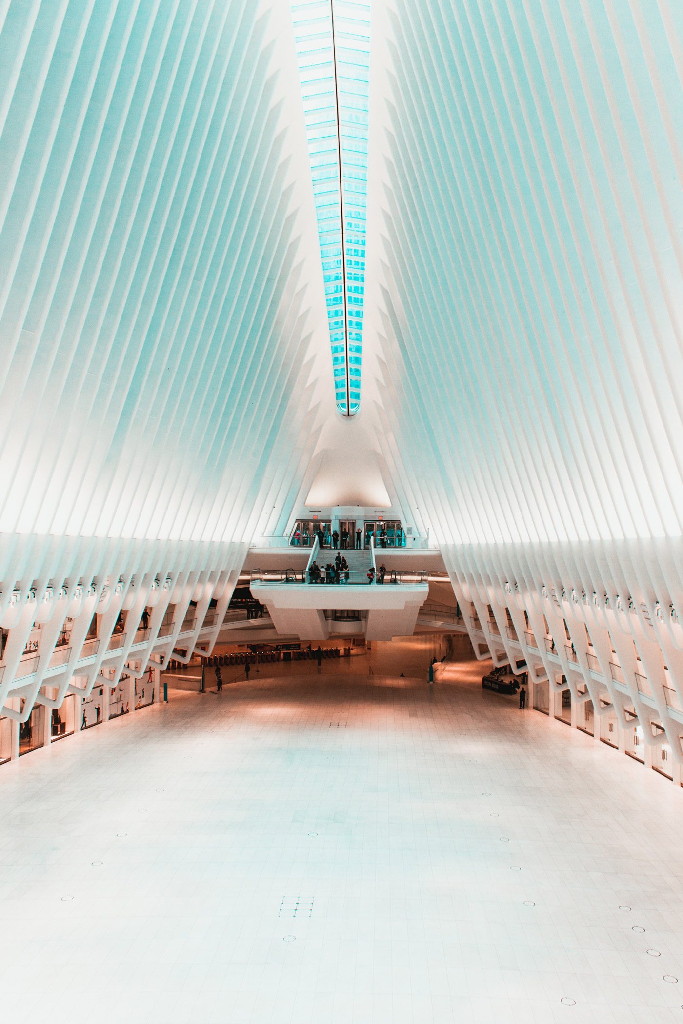 jannis-lucas-1329978-unsplash
